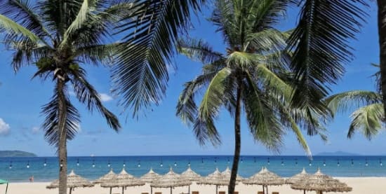 삶의 태도가 만드는 지속 가능한 즐거움